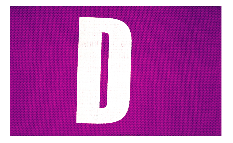 DISTINTIVO DELEGADO REGULABLE SOFTEE